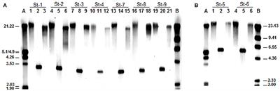 Antibiotic Resistance-Susceptibility Profiles of Streptococcus thermophilus Isolated from Raw Milk and Genome Analysis of the Genetic Basis of Acquired Resistances